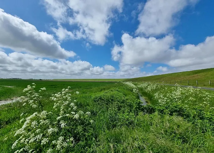 Daire Schlickwanderer Klein Neßmersiel
